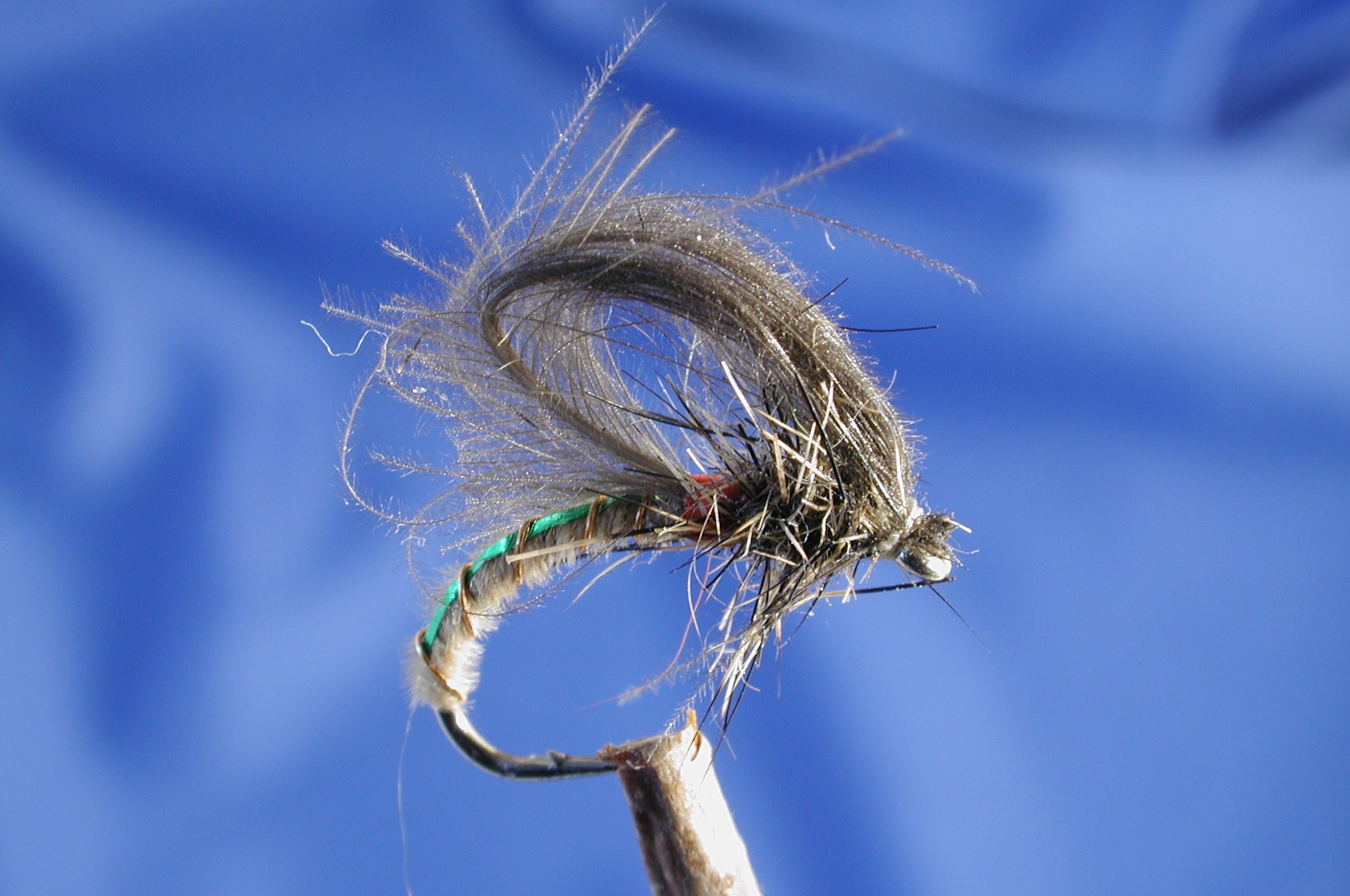 CDC Nimrod Loop Wing Fly Fishing Flies with Fish4Flies Worldwide